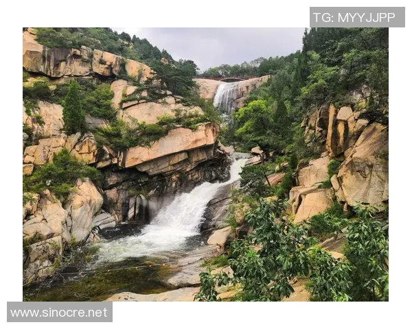 山东泰山俱乐部代表于三月一日开展登山活动共赴泰山景区体验自然之美