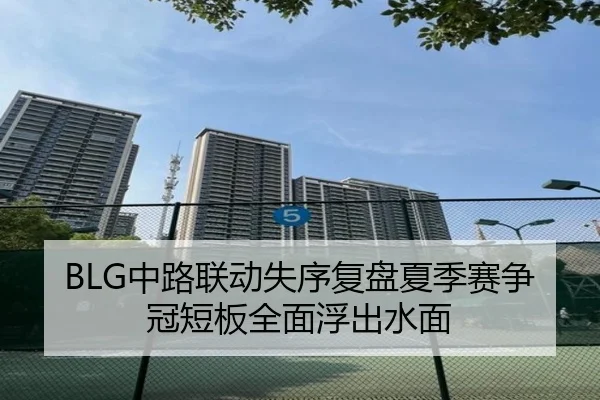 BLG中路联动失序复盘夏季赛争冠短板全面浮出水面